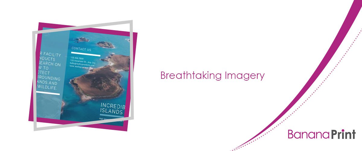 How to Design an Outstanding Brochure